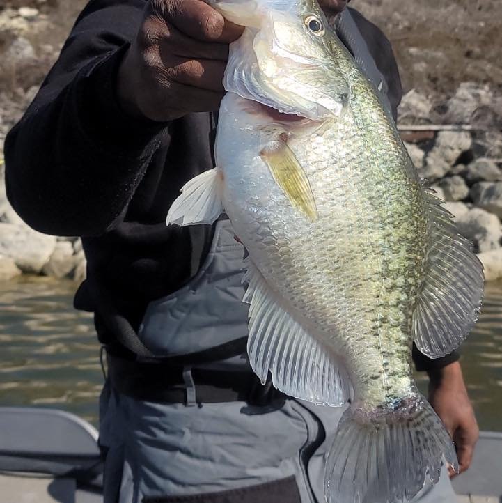 490328844_9971615102862157_2352781854619042697_n